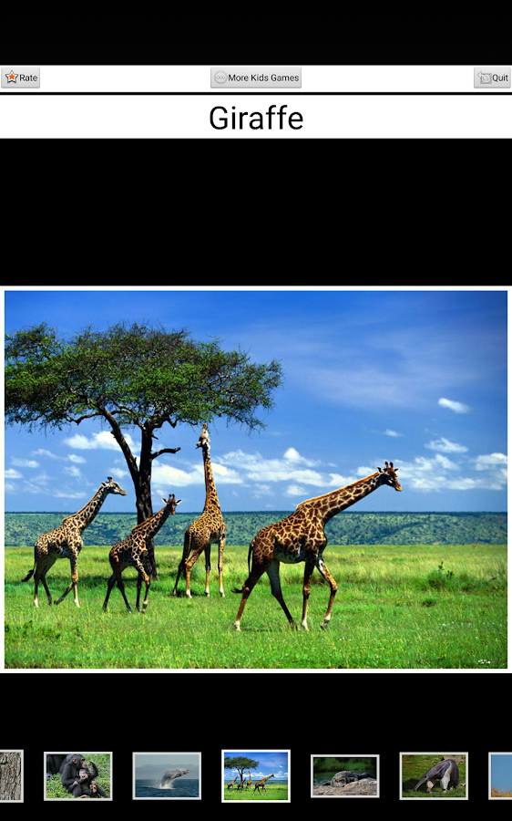 Animal sound - Kids game - screenshot