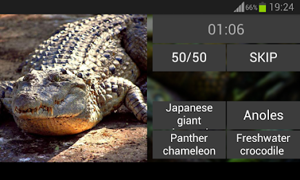 Guess the reptile poster 8