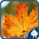 Leaf Jigsaw Puzzles 4 In 1 APK