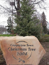 Copperton Town Christmas Tree