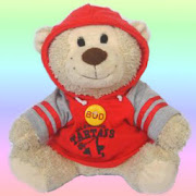 Nounours and friends  Icon