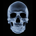 Skull 3D Live Wallpaper icon