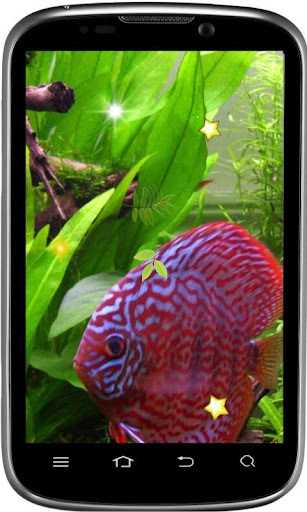 免費下載個人化APP|Aquarium Collection LWP app開箱文|APP開箱王