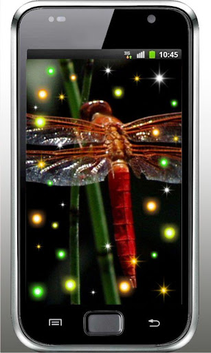 Dragonfly Free live wallpaper