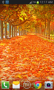 Download Maple Leaf Live Wallpaper FREE APK for Android