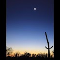 Moon Live Wallpaper Wallpaper logo