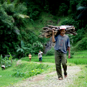 by Yogas Dwi - Novices Only Street & Candid