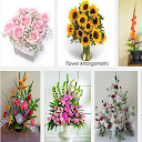 Flower Arrangement Ideas mobile app icon