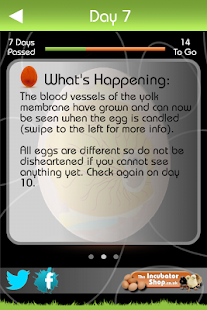 iHatch-Chickens(圖4)-速報App
