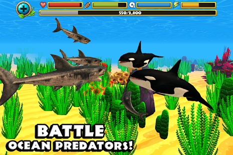 download Wildlife Simulator: Shark free