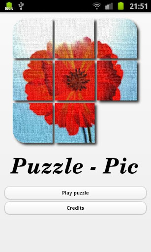 Puzzle Pic