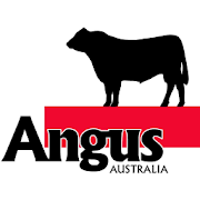 Angus  Icon