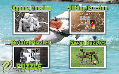 How to install Pitbull Dog Puzzle Games patch 3.1.6 apk for android