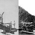 Fat Cats with Guns New Pictures Collections