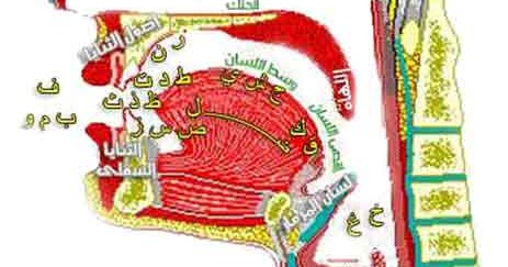 Махарадж арабских букв в картинках