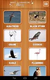 Baby learning Birds (Card) poster 5