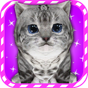 Virtual Pet Kitty Cat