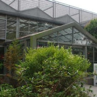 菁芳園 Tenway Garden／花園餐廳／落羽松