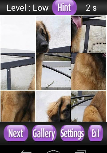 【免費解謎App】Leonberger Kids Games-APP點子