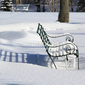 Winter Bench by Marsha Biller - Artistic Objects Furniture
