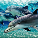 free sea logo