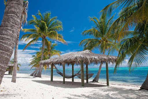 Pull up a hammock on the beach on Little Cayman.