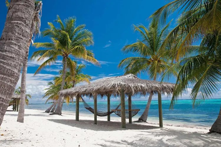 Pull up a hammock on the beach on Little Cayman.