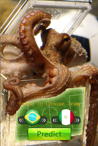 Paul the Octopus-Worldcup Seer