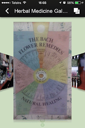 Naturopathic Health poster 9