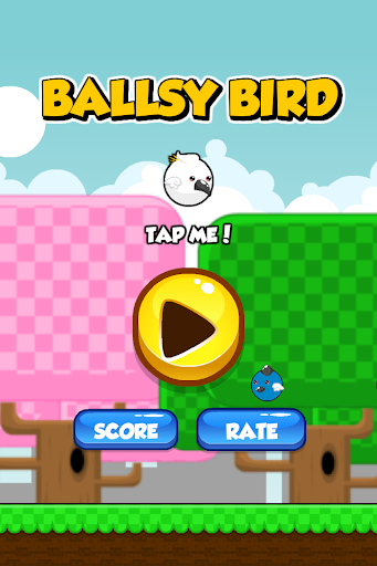 Ballsy Bird