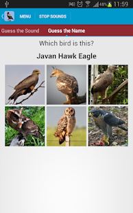 Birds of Prey Sounds Free(圖5)-速報App