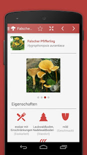 Pilze sammeln & bestimmen LITE(圖5)-速報App