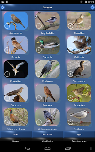 免費下載書籍APP|Oiseau Id: Oiseaux de France app開箱文|APP開箱王