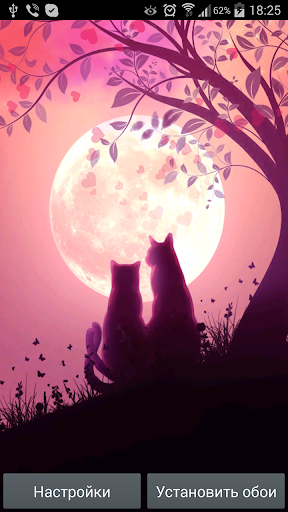 【免費個人化App】Lovers cats Live Wallpaper-APP點子