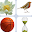 Kids Picture Crossword puzzle Download on Windows