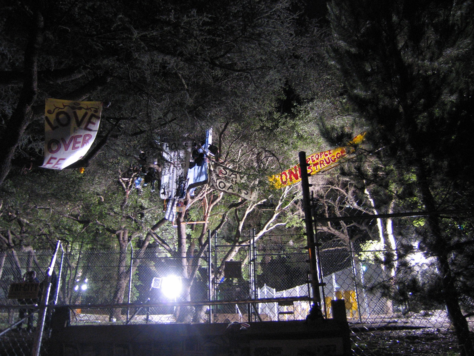 [IMG_4840 Protest banners in the trees at UC Berkeley[5].jpg]