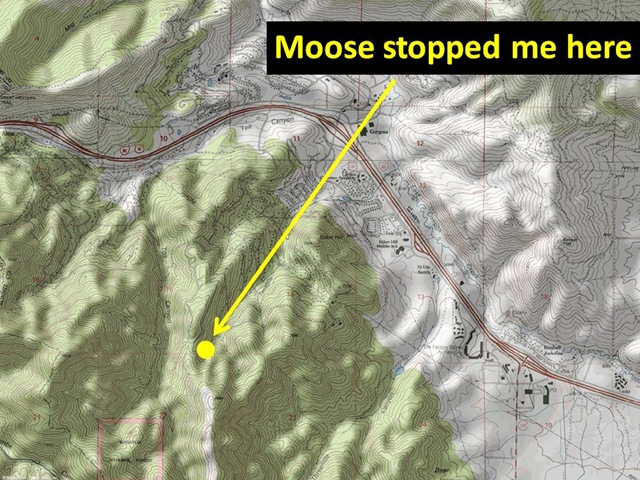 [Moose Back Down Map[4].jpg]