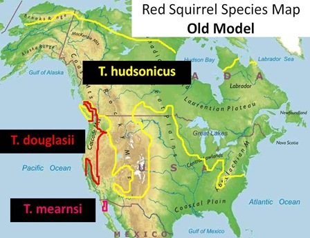 Red Squirrel Species Map Old Model