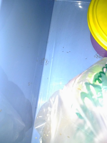 [28-10-08_1517[6].jpg]