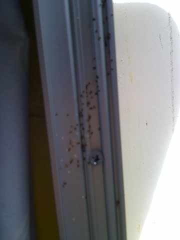 [28-10-08_1518[5].jpg]