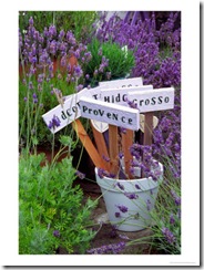Lavender-Stakes-with-Names-and-Lavender-in-Pots