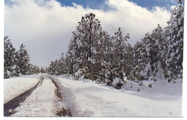[NIEVE[4].jpg]
