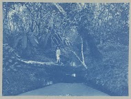 Anton bij sluis in achterdam van "Ma retraite"