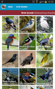 Asian Birds Sounds(圖2)-速報App