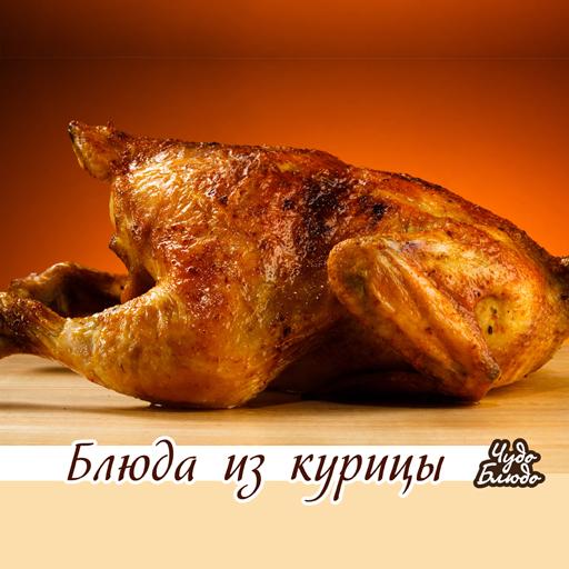 Блюда из курицы - кулинария 書籍 App LOGO-APP開箱王