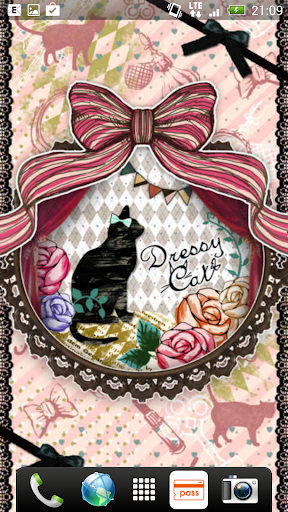 Dressy Cats ライブ壁紙