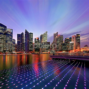 City of Lights by Sim Kim Seong - City,  Street & Park Skylines