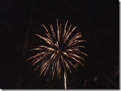 P1010009