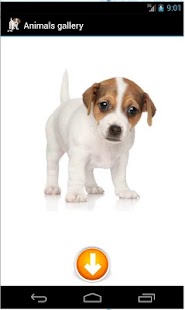 Free Download Animal Sounds for My Kid Lite APK for PC