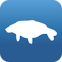 FAT FISH 2 mobile app icon